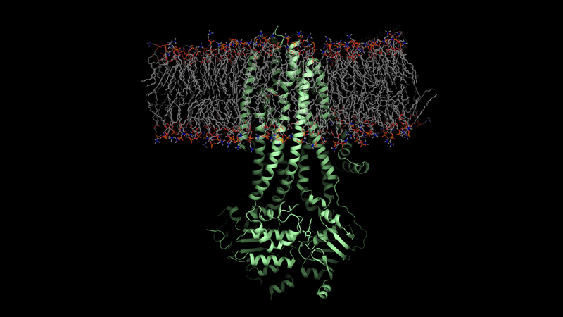 Los 10 descubrimientos científicos más importantes del 2019 6