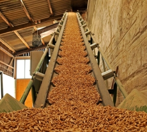 Biomasa: ¿Una alternativa a los combustibles fósiles?
